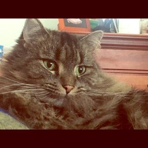 Meet your Posher, Dee